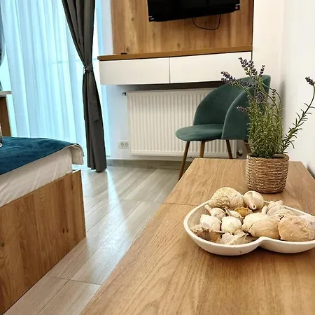 Victory Luxury 아파트 *